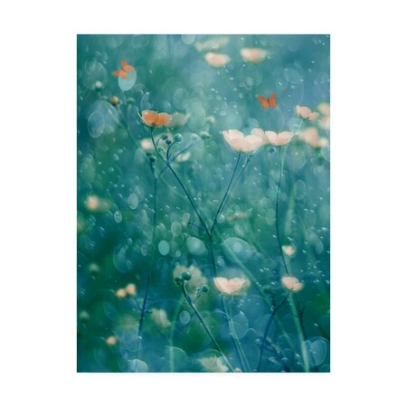 Trademark Fine Art Delphine Devos 'A Memory Of June' Canvas Art, 35x47 1X09758-C3547GG